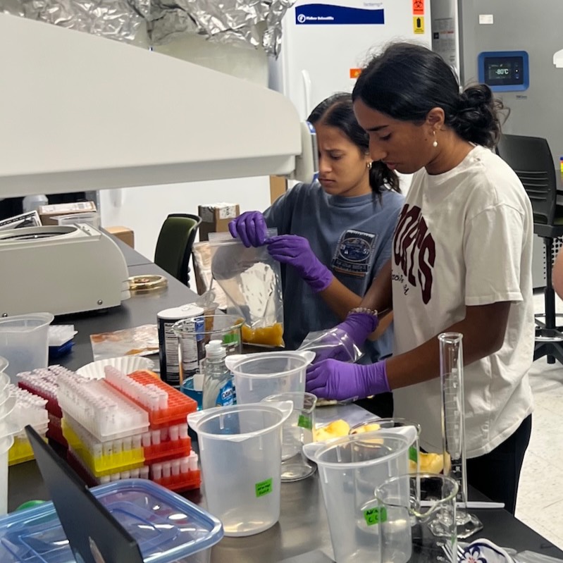 Two students working in the Thompson lab