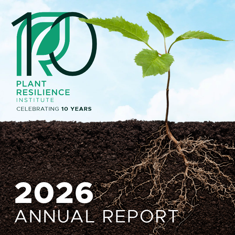 The cover of the 2026 Plant Resilience Institute Annual Report, featuring the PRI ten-year anniversary logo and an image of a seedling sprouting green leaves and roots growing in soil.