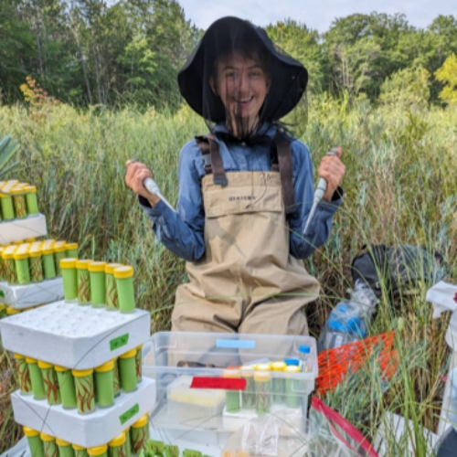 Sylvie Martin-Eberhardt at Upper Manistee Headwaters Preserve, assembling artificial pitcher plants for this paper.