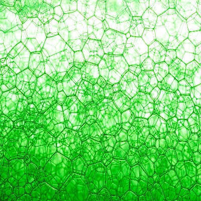 Microscopic view of plant cells, thumbnail. Credit: Adobe Stock