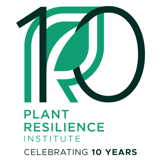 The light green PRI leaf logo with the number 10 looped into it and text underneath that says "Plant Resilience Institute Celebrating 10 Years"
