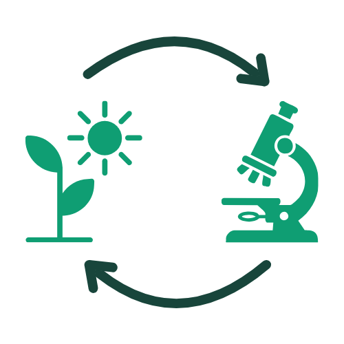 Field to Lab to Field Paradigm Field to Lab to Field Paradigm Icon