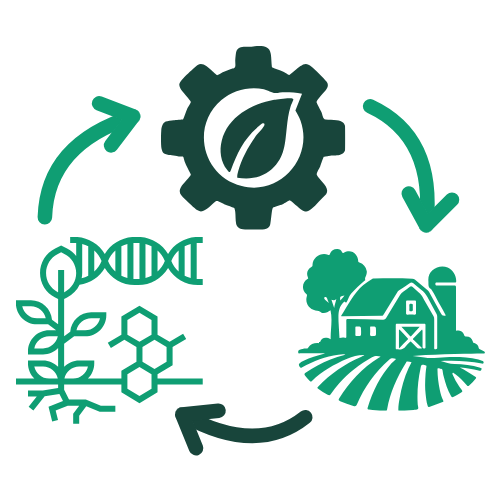 Fundamental-Translational-Applied Cycle Fundamental-Translational-Applied Cycle Icon
