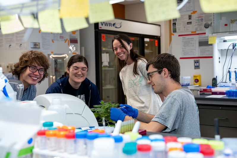 Four individuals in a laboratory setting conducting an experiment on a small plant.