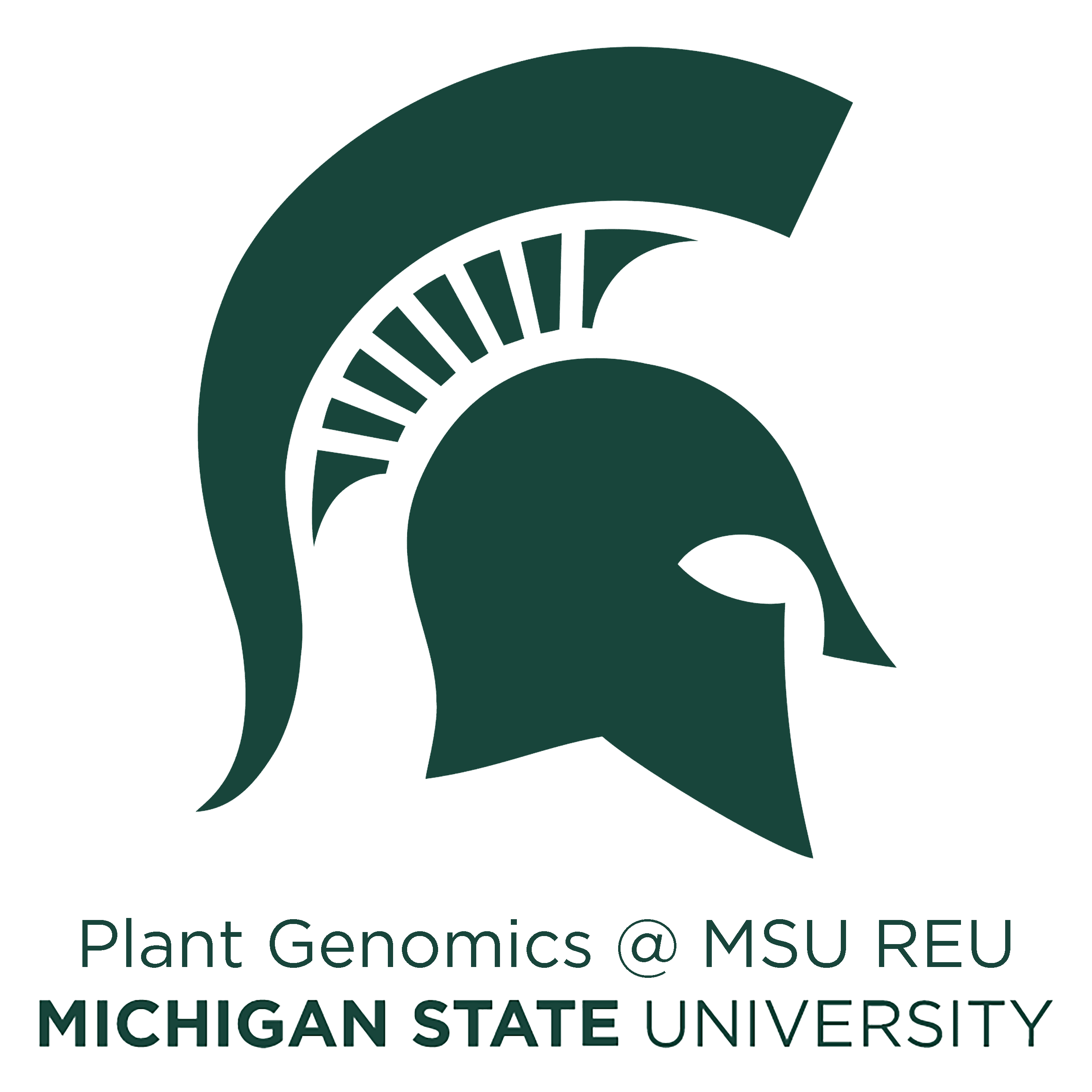 Plant Genomics @ MSU REU logo
