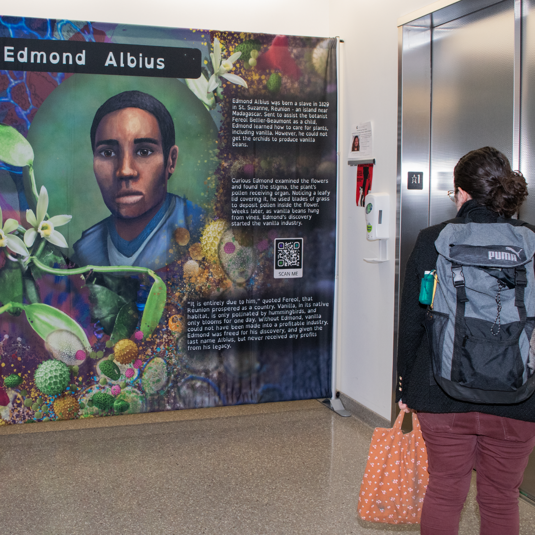 A person with a backpack and yelklow back looks at one of the PRI Black History Month art banners