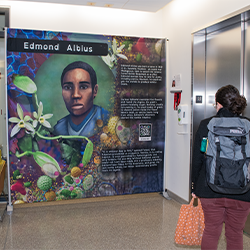 A person with a backpack and yelklow back looks at one of the PRI Black History Month art banners