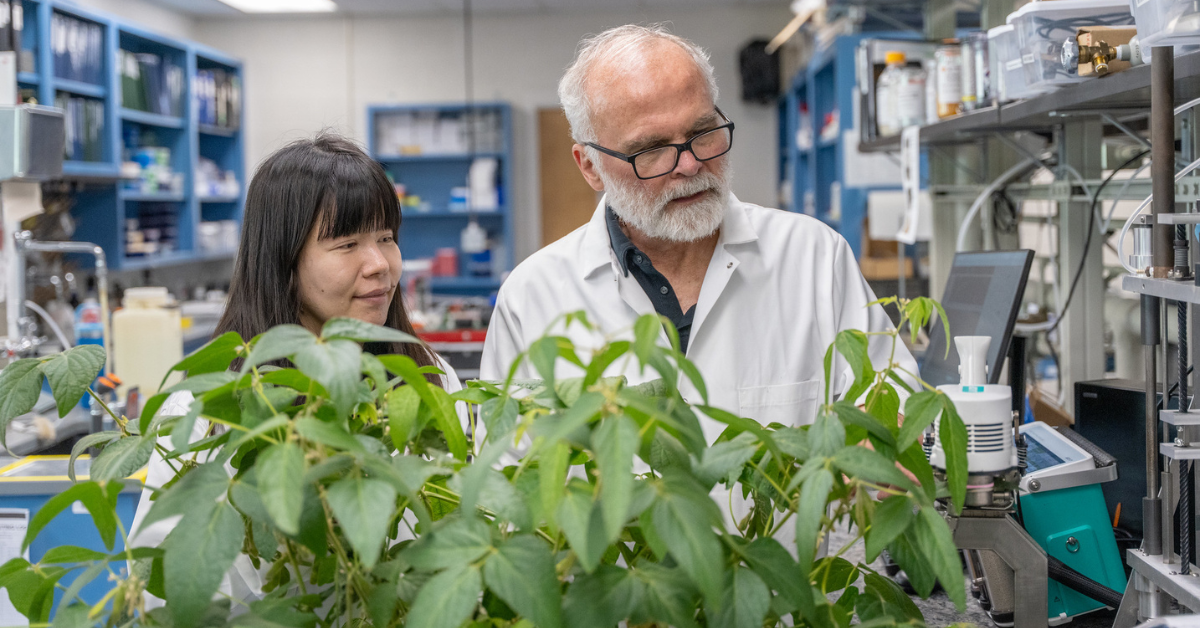 Two scientists in lab coats examine a plant in a laboratory setting