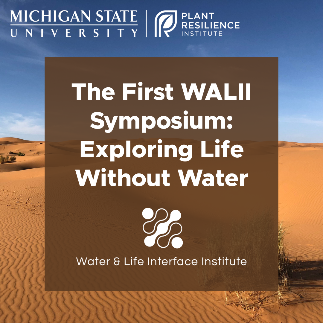 The graphic features a background image of a desert and the MSU-PRI and WALII logos with the text 