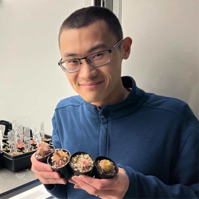 Daniel Mok smiling in a blue sweatshirt while holding four small potted succulents