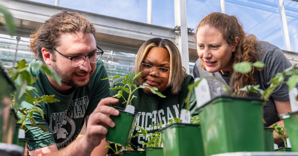 Three people in a greenhouse examine plants in small green pots