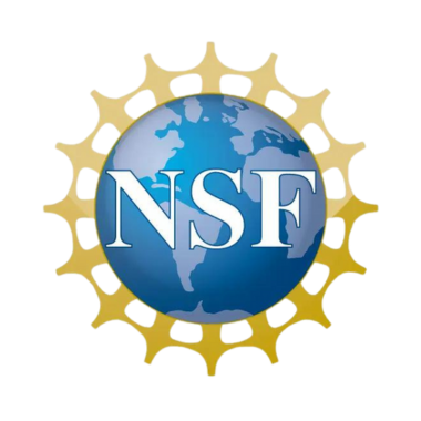 NSF logo